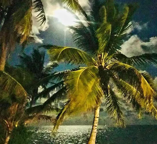 Oceanfront House With View, Private Pier & * San Pedro (Ambergris Caye)